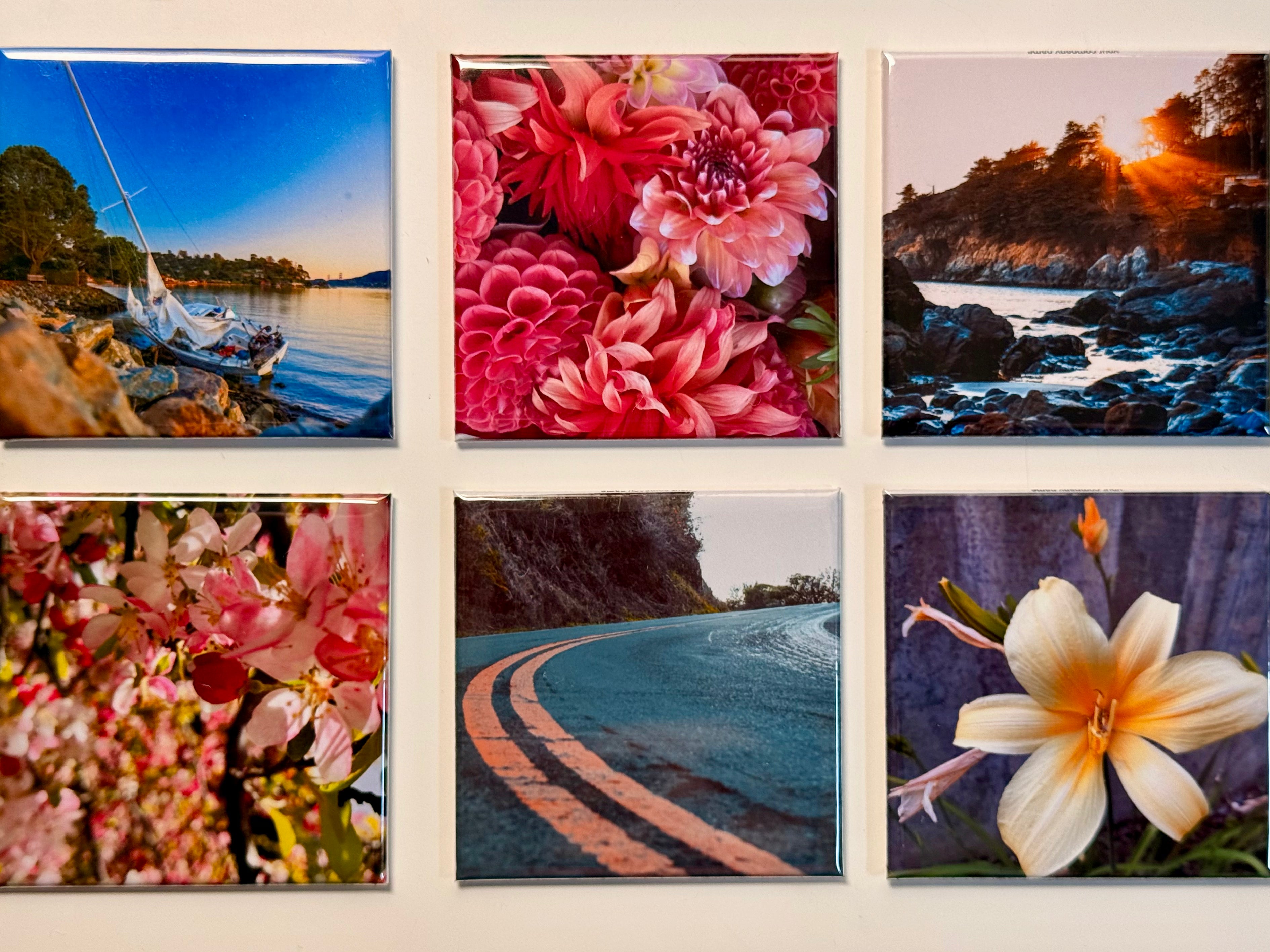 Custom Photo Magnets - 6 Pictures (2.5" x 2.5")